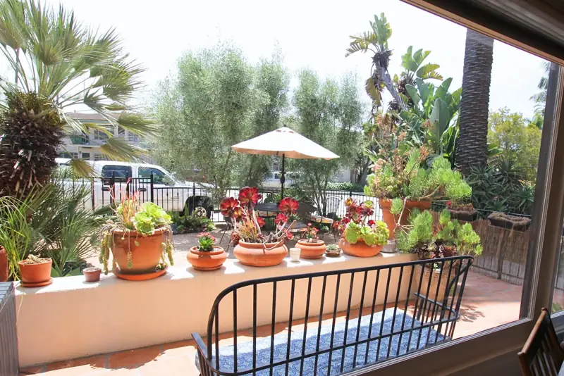 Patio
