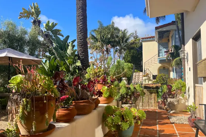 Front Yard