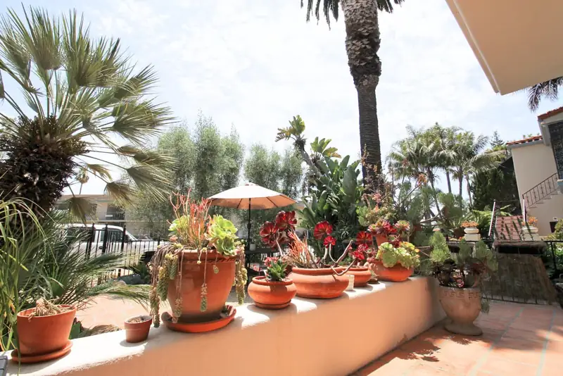 Front yard